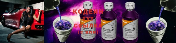 прущие крисы Балахна