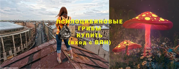 не бодяженный Арсеньев