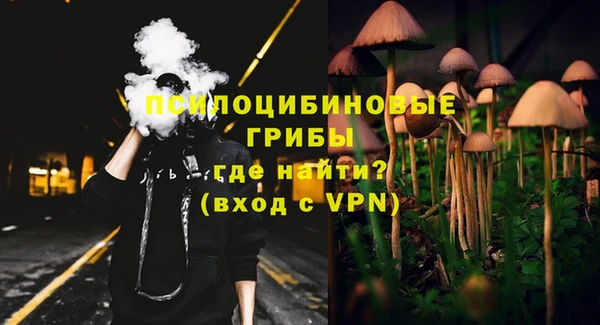 прущие крисы Балахна
